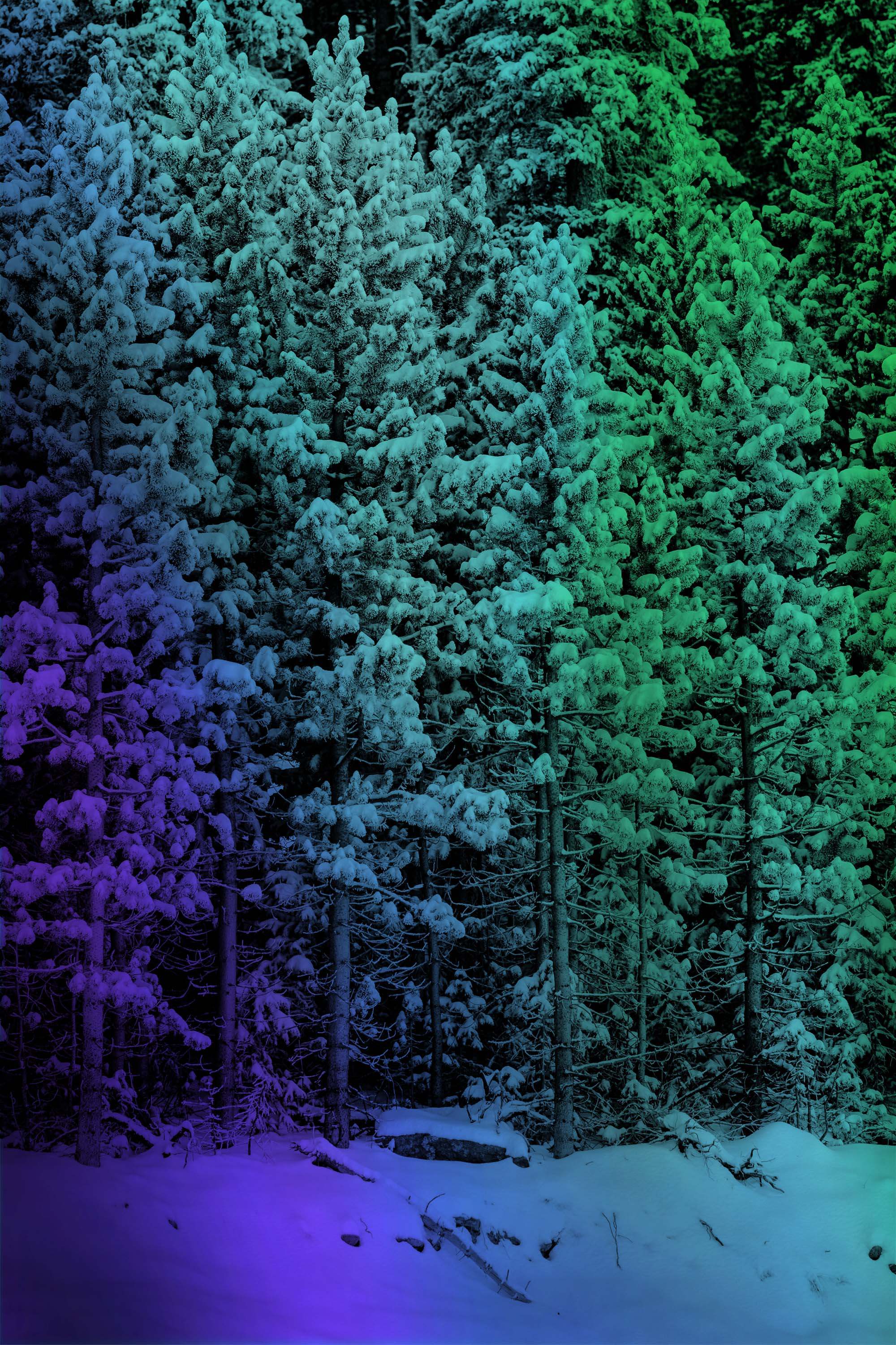 Trees-with-Gradient